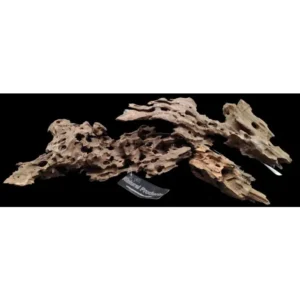Accessories - Hardscape 2 AP Natural Honeycomb Wood Medium 20-30cm