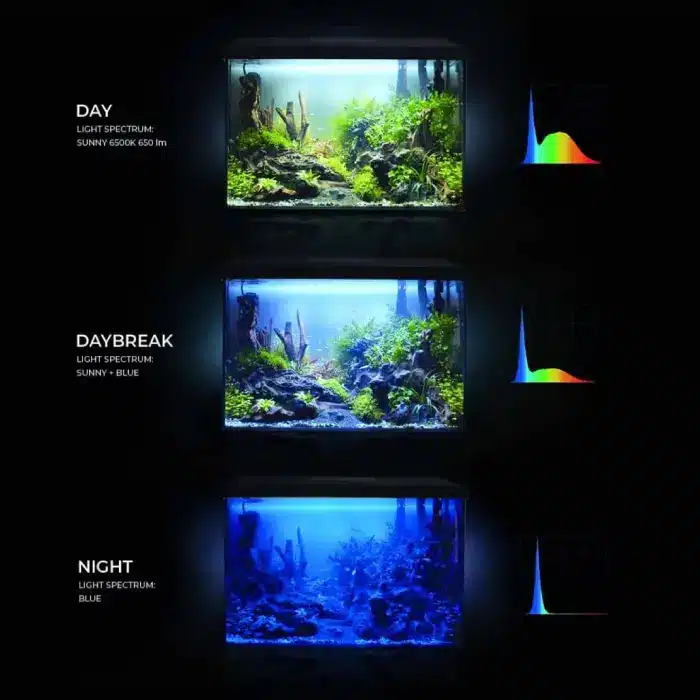 Aquael Leddy 40 Day & Night Aquarium Set 3 Aquael Leddy 40 Day & Night Aquarium Set - Image 3
